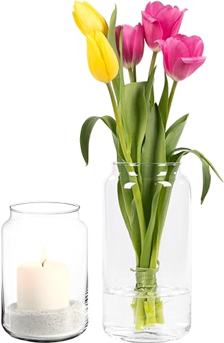 Giessle® Set Modern mit 15cm Windlicht und 20cm Vase (Wohnzimmer Tulpenvase Blumenvase Glasvase für Trockenblumen) Transparent von GIESSLE