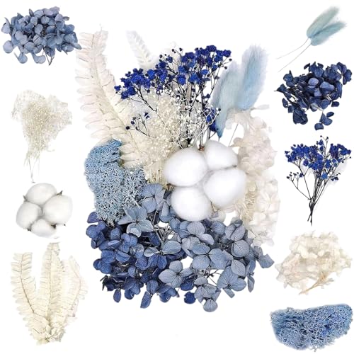 GIFANEO Natürliche getrocknete Blumen,Kunstblumen Klein, Blumen für Handwerk,Künstliche Blumen Deko Blau Blumenköpfe,Hochzeit Blumenarrangements Combo Deko GIFANEO Natürliche getrocknete Blumen,Kunstblumen Klein, Blumen für Handwerk,Künstliche Blumen Deko Blau Blumenköpfe,Hochzeit Blumenarrangements Combo Deko von GIFANEO