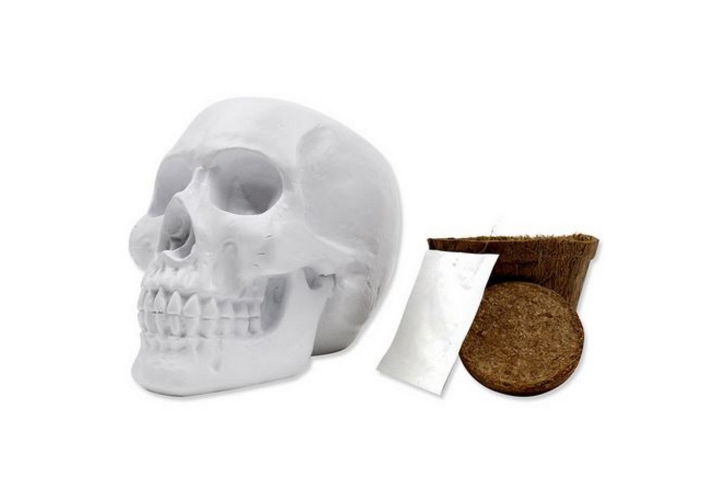 GIFT REPUBLIC Kräuterbeet Totenkopf / Pflanzset von GIFT REPUBLIC