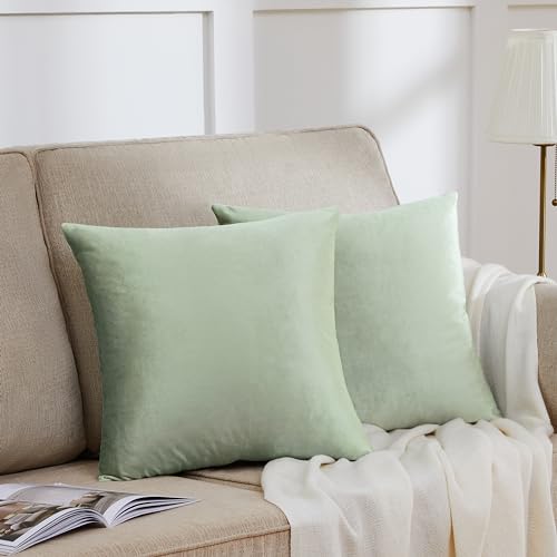 GIGIZAZA 2er Set Salbeigrün Kissenbezug Samt Kissenbezüge Dekorative Kissenhülle Sofakissen Zierkissen deko Dekokissen für Wohnzimmer Schlafzimmer Sofa Auto 50cmx50cm GIGIZAZA 2er Set Salbeigrün Kissenbezug Samt Kissenbezüge Dekorative Kissenhülle Sofakissen Zierkissen deko Dekokissen für Wohnzimmer Schlafzimmer Sofa Auto 50cmx50cm von GIGIZAZA