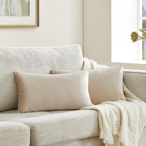 GIGIZAZA 2er Set Samt Kissenbezug Champagner Dekokissen Lendenkissen Dekorative Kissenhülle Weich Sofakissen Zierkissen deko für Sofa Wohnzimmer Schlafzimmer 30x50 cm GIGIZAZA 2er Set Samt Kissenbezug Champagner Dekokissen Lendenkissen Dekorative Kissenhülle Weich Sofakissen Zierkissen deko für Sofa Wohnzimmer Schlafzimmer 30x50 cm von GIGIZAZA