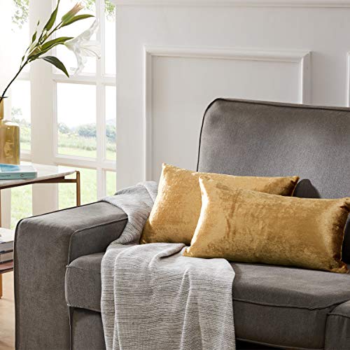 GIGIZAZA Gold Kissenbezüge, Kissenhülle Samt Kissenbezug Zierkissenbezüge Dekokissen für Sofa Schlafzimmer Wohnzimmer 30x50 cm 2er Set von GIGIZAZA