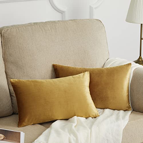 GIGIZAZA Goldene Holz-Kissenbezüge, 30,5 x 50,8 cm, Samt, dekorative Kissenbezüge für Couch, Sofa, 2 Stück von GIGIZAZA