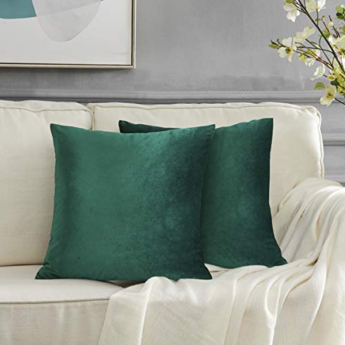 GIGIZAZA Grün Kissenbezug Samt Kissenhülle 60x60cm Deko Kissenbezüge Dekokissen Fall für Sofa Schlafzimmer Wohnzimmer 2er Set von GIGIZAZA