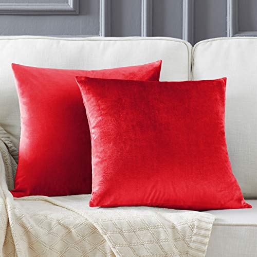 GIGIZAZA Rot Kissenbezug Samt Kissenhülle 60x60cm Deko Kissenbezüge Dekokissen Fall für Sofa Schlafzimmer Wohnzimmer 2er Set von GIGIZAZA