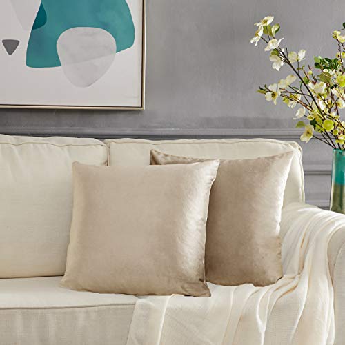 GIGIZAZA Samt Kissenbezug 45 cm x 45 cm Kissenbezüge Sofakissen Kissenhülle Dekokissen für Wohnzimmer Schlafzimmer Auto Champagner 2er Pack von GIGIZAZA