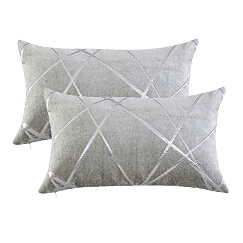 GIGIZAZA Silbergrau Kissenbezug Samt Kissenhülle 30x50cm Deko Kissenbezüge Dekokissen Fall für Sofa Schlafzimmer Wohnzimmer 2er Set von GIGIZAZA