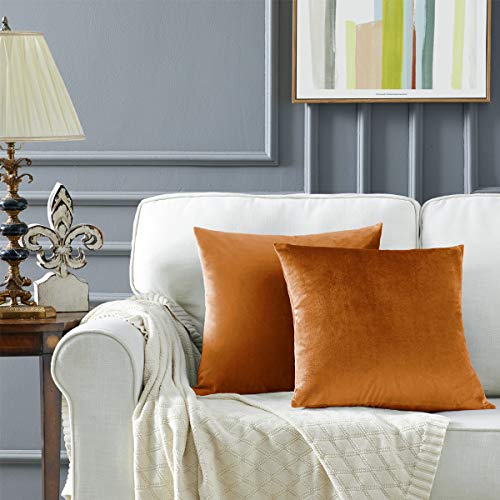 GIGIZAZA Kissenbezug Samt Kissenbezüge 45x45cm Dekorative Kissenhülle Zierkissenbezüge für Sofa Wohnzimmer Schlafzimmer und Auto 2er Set Orange Zimt von GIGIZAZA