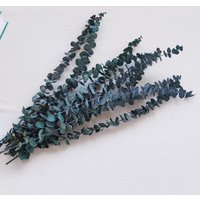 10 Stiele Hochwertige Erhaltene Blaue Eukalyptus, Diy Blumenarrangement, Dekoration Für Haushochzeitstag von GIGkelly