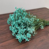 Diy Blume Element, Blumenmuster, Hochzeit Dekoration Großpackung Natürliche Konserven Schleierkraut Gypsophila von GIGkelly