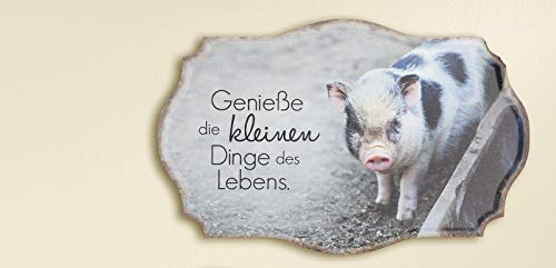 GILDE Metallschild Weisheit Genieße die kleinen Dinge des Lebens, Schwein, 30x19cm von GILDE