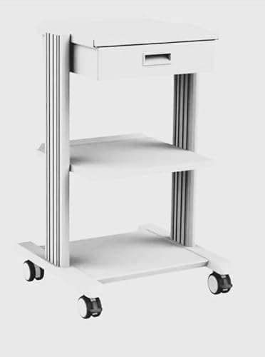 Bieffe Italia PP53224 X + accesso Pro Cart-4 Fachböden, Tastatur, Monitor Unterstützung, Schublade von GIMA