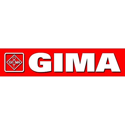 Gima 33884 Bakteriologischer Filter und Schnorchel für Mir, mikromedizinisch, Vitalograph, 100 Stück von GIMA