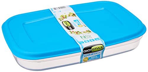 Gio 'Style Aufbewahrungsbox 26 x 18 x 4,5 H hellblau von GIO'STYLE