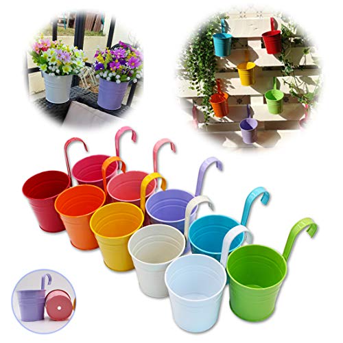 GIOVARA Blumentöpfe zum Aufhängen, Blumentopf Hängend aus Metall, Bunt Hänge Blumentopf für Balkon, Zaun, Garten, Wand, Robuster Hängetopf mit Abnehmbarem Haken & Ablaufloch, 10-Set GIOVARA Blumentöpfe zum Aufhängen, Blumentopf Hängend aus Metall, Bunt Hänge Blumentopf für Balkon, Zaun, Garten, Wand, Robuster Hängetopf mit Abnehmbarem Haken & Ablaufloch, 10-Set von GIOVARA