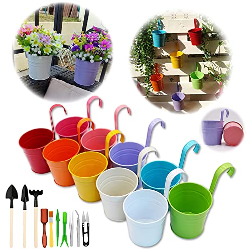 GIOVARA Blumentöpfe zum Aufhängen, hängend Blumentopf ohne Ablaufloch, 10 Stück Bunte Balkon Garten Töpfe mit Werkzeugen, Blumentopf aus Metall für Pflanzen mit abnehmbare Henkel(10 x 10 x 8 cm) von GIOVARA