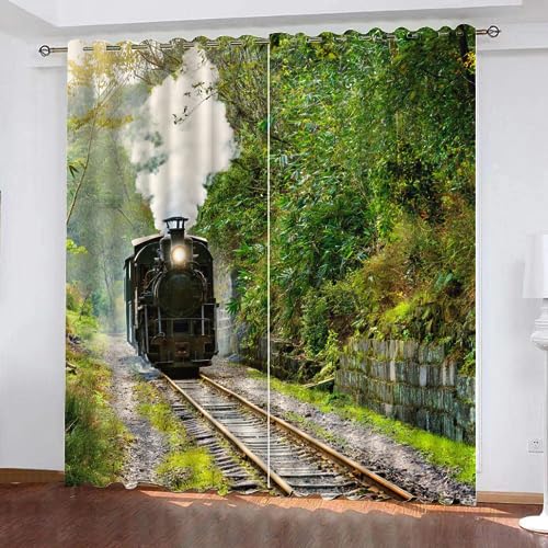 GIOVIA 3D Zug Vorhang Abdunkelnde Retro Zug Polyester Vorhänge mit ösen 2er Set Gardinen Blickdicht Verdunkelungs Geräuschreduzierung für Schlafzimmer Wohnzimmer B 234 X H 137 cm GIOVIA 3D Zug Vorhang Abdunkelnde Retro Zug Polyester Vorhänge mit ösen 2er Set Gardinen Blickdicht Verdunkelungs Geräuschreduzierung für Schlafzimmer Wohnzimmer B 234 X H 137 cm von GIOVIA