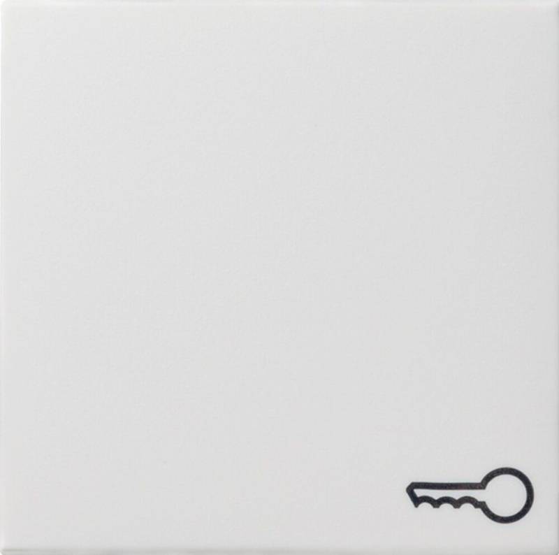 GIRA Klemmen Gira Wippe Schlüssel rws 028727 von GIRA