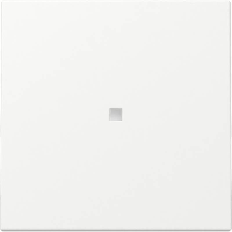 GIRA Kontrollwippe 'System 55' mit Fenster reinweiß matt GIRA Kontrollwippe 'System 55' mit Fenster reinweiß matt von GIRA