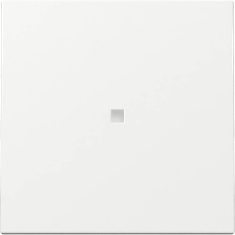 GIRA Kontrollwippe 'System 55' mit Fenster reinweiß von GIRA