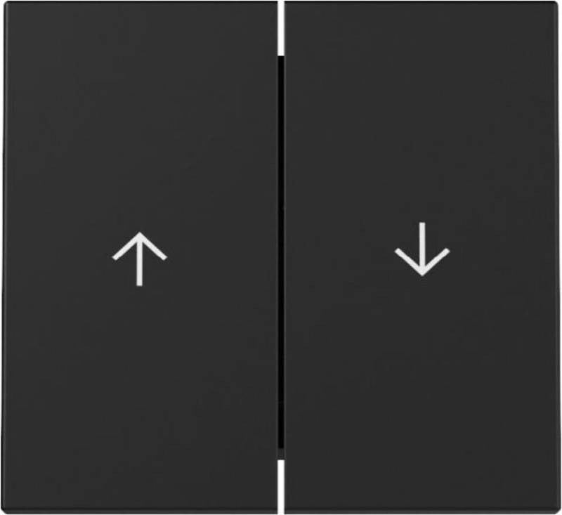 GIRA Schalter GIRA 3294005 Wippe 2fach Pfeil System 55 Schwarz matt von GIRA