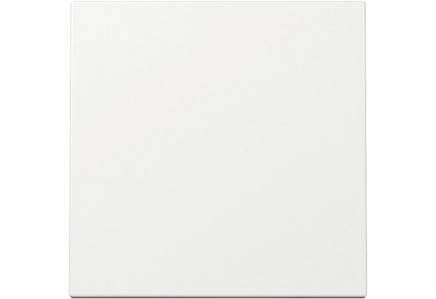 GIRA Lichtschalter GIRA Wippe, 329603, System 55, weiß von GIRA