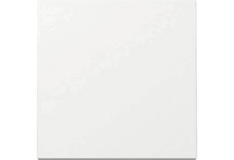 GIRA Lichtschalter GIRA Wippe, 329603, System 55, weiß GIRA Lichtschalter GIRA Wippe, 329603, System 55, weiß von GIRA