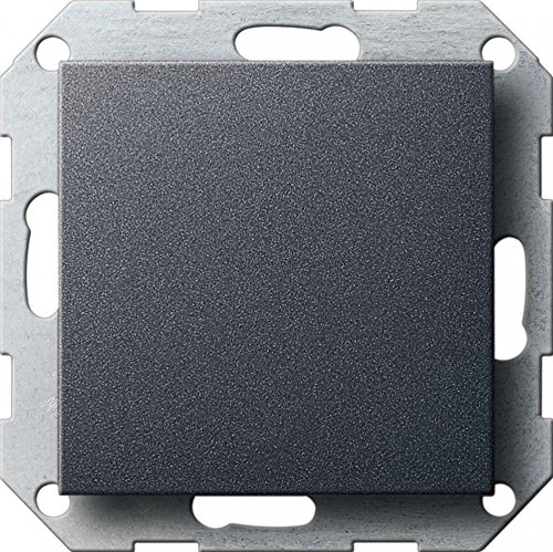 Gira 026828 Blindabdeckung mit Tragring System 55, anthrazit von GIRA