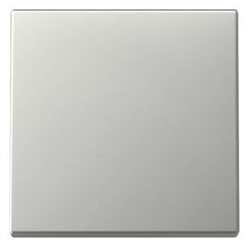 Gira 3296600 Wippe Edelstahl matt von GIRA