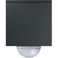 Gira Wächter anthrazit 244210 Gira Wächter anthrazit 244210 von GIRA