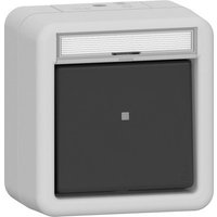 Gira Wipp-Kontroll AusWe BSF WG AP Grau 311630 - 311630 von GIRA