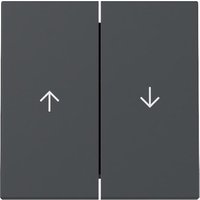 Gira Wippe 2f Pfeil Anthrazit 329428 - 329428 von GIRA
