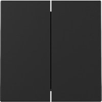 Gira Wippe 2f Schwarz m 3295005 - 3295005 von GIRA