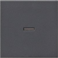 Gira Wippe anth mit Kontroll-Fenster 029028 Gira Wippe anth mit Kontroll-Fenster 029028 von GIRA