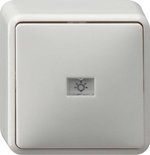 Gira Wipptaster 015613 Wechsler AP reinweiss, 250 V von GIRA