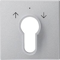Gira Zentralpl. Schlüssel. alu System55 066426 - 066426 von GIRA