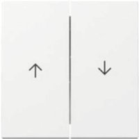 Wippen + Pfeilsymbol GIRA System 55 Reinweiß-glänzend von GIRA