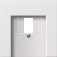 Zentralplatte usb/tae 1-fach reinweiß glänzend Fläche 0276112 Schraubbef - Gira von GIRA