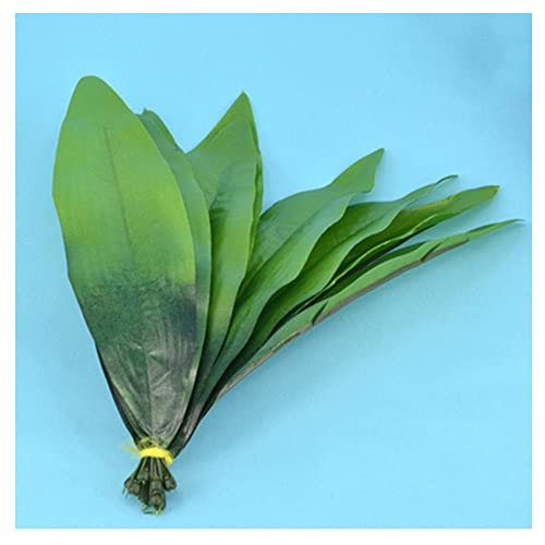 GIVBRO Faux Fake Leaf Tulip Zubehör für Nylonstrümpfe Floral DIY Decor 10 Stück GIVBRO Faux Fake Leaf Tulip Zubehör für Nylonstrümpfe Floral DIY Decor 10 Stück von GIVBRO