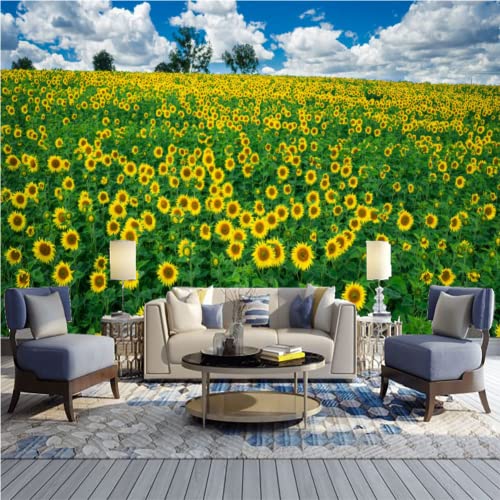 Fototapete Feldgelbe Sonnenblumen, Wandtapete Die Schönheit Des Landes In Den Landwirtschaftlichen Regionen Der Ukraine - für Zimmer Küchen Wanddekoration 200 x 140 cm von GIVLWF