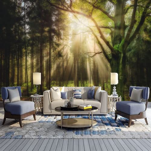 GIVLWF Morgensonne Wald Tapeten, Natürliche Pflanzenlandschaft Vlies Tapete, Wandbild Dekoration - für Zuhause Schlafzimmer die Mauer 350 x 265 cm von GIVLWF