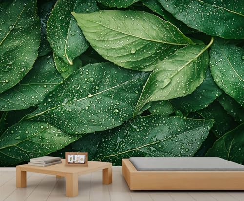 GIVLWF Tapete – Blätter Home Decor & Großes Wandbild, Grüne Blätter, Schlafzimmer Tapete, Tapete für Wohnzimmer, nicht selbstklebende Wandbild, frische Pflanzen GIVLWF Tapete – Blätter Home Decor & Großes Wandbild, Grüne Blätter, Schlafzimmer Tapete, Tapete für Wohnzimmer, nicht selbstklebende Wandbild, frische Pflanzen von GIVLWF