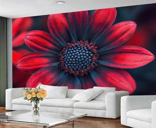 GIVLWF Tapete – Blumen Home Decor & Großes Wandbild, rote Gänseblümchen Tapete für Wohnzimmer, Schlafzimmer, Wandbild, nicht selbstklebend, blühendes Blumenmuster GIVLWF Tapete – Blumen Home Decor & Großes Wandbild, rote Gänseblümchen Tapete für Wohnzimmer, Schlafzimmer, Wandbild, nicht selbstklebend, blühendes Blumenmuster von GIVLWF