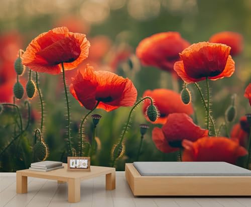 GIVLWF Tapete – Mohnblumen-Wohnkultur & großes Wandbild, rote Blumen, Tapete für Wohnzimmer, Schlafzimmer, nicht selbstklebende Wandbild, Frühlingsblumen GIVLWF Tapete – Mohnblumen-Wohnkultur & großes Wandbild, rote Blumen, Tapete für Wohnzimmer, Schlafzimmer, nicht selbstklebende Wandbild, Frühlingsblumen von GIVLWF
