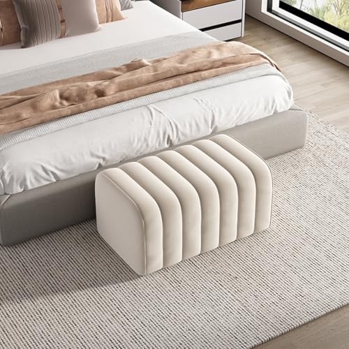 GIZNXBA Sitzhocker Grau Bank Am Ende des Bettes, Moderne Samt Stoff Gepolstert Eingang Bank Sitz, Fußstütze Hocker Akzent Fußhocker Für Schlafzimmer Wohnzimmer, Foyer, Esszimmer(/Beige,60cm) von GIZNXBA