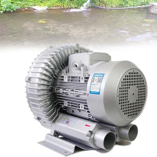 GJBMXSM 120W-1100W Seitenkanalverdichter Regeneratives Gebläse Zum Luftblasen, Absaugen, Abwasser Belebungs, Einphasig Vortex-Gas-Pumpe, Fischteich-Ringgebläse,120W/0.16HP von GJBMXSM