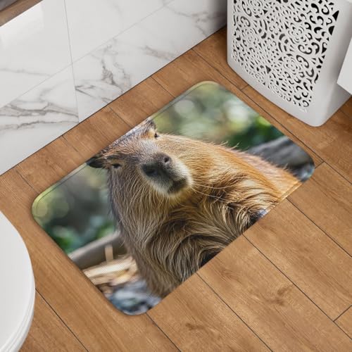 Capybara Fußmatte mit geschlossenen Augen, rutschfest, saugfähig, Badteppich, weich, waschbar, Bodenmatte, moderner Teppich für stilvolle Küche, Schlafzimmer, Badezimmer, Dekoration, 40,6 x 61 cm Capybara Fußmatte mit geschlossenen Augen, rutschfest, saugfähig, Badteppich, weich, waschbar, Bodenmatte, moderner Teppich für stilvolle Küche, Schlafzimmer, Badezimmer, Dekoration, 40,6 x 61 cm von GJHKSSVB