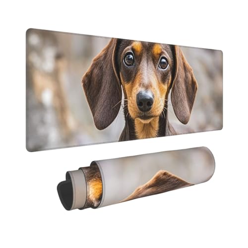 Großes Gaming-Mauspad, 30,5 x 80 cm, erweitertes XXL-Mauspad mit genähten Kanten, rutschfeste, lange Schreibtischunterlage für Dackel, Schreibtischunterlage für Tastatur, Zuhause, Büro, Gaming, Arbeit Großes Gaming-Mauspad, 30,5 x 80 cm, erweitertes XXL-Mauspad mit genähten Kanten, rutschfeste, lange Schreibtischunterlage für Dackel, Schreibtischunterlage für Tastatur, Zuhause, Büro, Gaming, Arbeit von GJHKSSVB