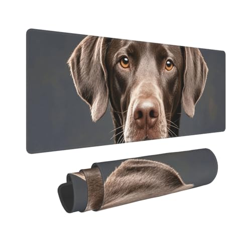 Großes Gaming-Mauspad, 30,5 x 80 cm, verlängertes XXL-Mauspad mit genähten Kanten, rutschfeste, lange Schreibtischunterlage, Dalmatiner-Schreibtischunterlage für Tastatur, Zuhause, Büro, Gaming Großes Gaming-Mauspad, 30,5 x 80 cm, verlängertes XXL-Mauspad mit genähten Kanten, rutschfeste, lange Schreibtischunterlage, Dalmatiner-Schreibtischunterlage für Tastatur, Zuhause, Büro, Gaming von GJHKSSVB