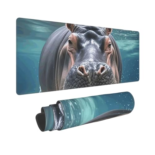 Großes Gaming-Mauspad, 30,5 x 80 cm, verlängertes XXL-Mauspad mit genähten Kanten, rutschfeste, lange Schreibtischunterlage 26d97539b79deaa8aa0c48b7df68041, Schreibtischunterlage für Tastatur, Zuhause von GJHKSSVB
